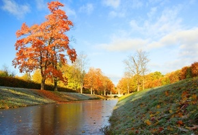 иней, осень, трава, листья, деревья, пейзаж, природа, парк, канал, Царское  ...