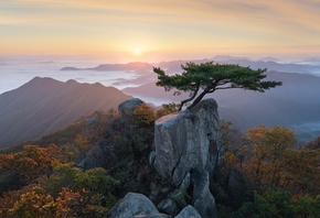 облака, пейзаж, горы, природа, дерево, Корея, сосна, заповедник, бонсаи, ут ...