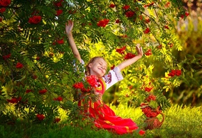 девочка, ребёнок, платье, природа, ветки, рябина, ягоды, гроздья, трава, ку ...