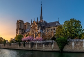 Париж, Франция, город, река, храм, собор Парижской Богоматери, архитектура, готика, вечер, закат