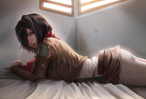 , , , Mikasa Ackerman