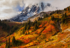 осень, Doug Shearer, США, Вашингтон, национальный парк, Mount Rainier, гора ...