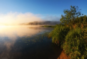 лето, речка, туман, утро, фото, андрей олонцев