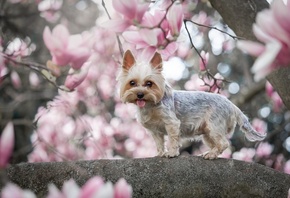 , , , , , , , , ,  ...