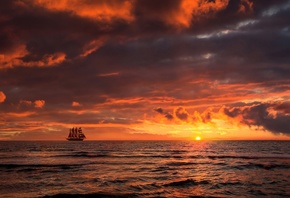 �����, ����, ������, ��������