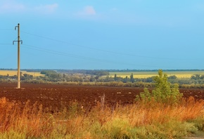 ����, ���, ������