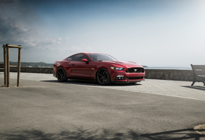 Red, Mustang