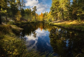 Природа, река, лес, осень
