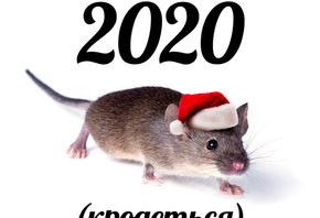 ����� ���, ��������, 2020