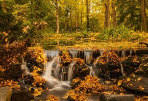водопад, осень, желтые листья, желтые деревья, лес