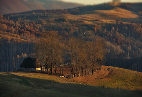 осень, деревья, пейзаж, природа, дом, холмы, леса, луга, Румыния, Александр Перов