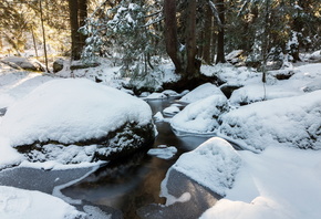 зима, лес, снег, деревья, пейзаж, природа, ручей, камни, Болгария, речушка, ...