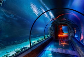 туннель, подводный Синий, аквариум