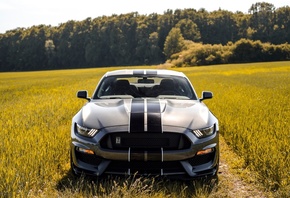 Ford, Mustang, Shelby, GT350, 
