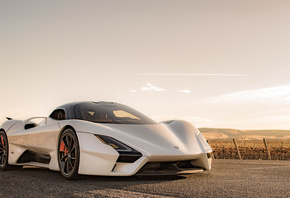 SSC, Tuatara