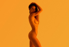 women, nude, brunette, ass, yellow background, boobs, nipples, Studio, hand ...