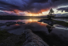 Norway, tree, landscape