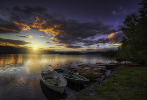 Norway, tree, landscape