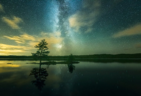 Norway, tree, flickering, clouds