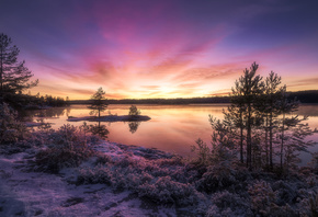 Ringerike, clouds, Norway, trees