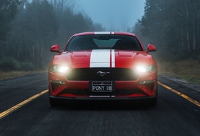 Fastback, Mustang GT, , 