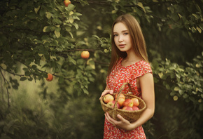 лето, девушка, деревья, природа, корзина, яблоки, сад, платье, шатенка, фрукты, яблони, Владислав Оплетаев