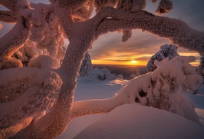 зима, солнце, лучи, снег, деревья, пейзаж, природа, Заполярье, Андрей Базан ...