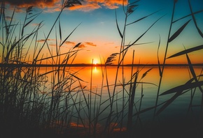 �����, �����, �����