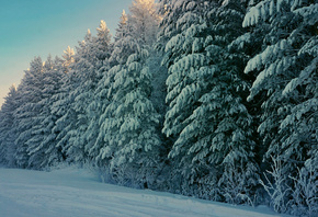 ���, ������, ����