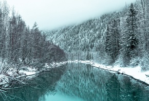 ����, ������, �����, ����, ����