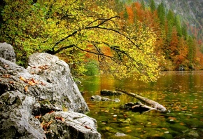 �����, �����, �����, ���