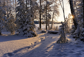 ����, ����, ���