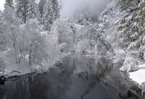 ����, �������, ����, ����, ������