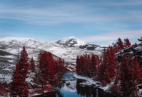 ����, �������, ����, �����, ������