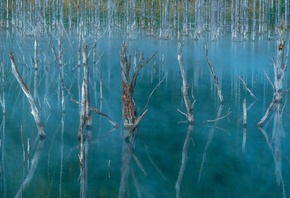 �����, ������, �������, �������