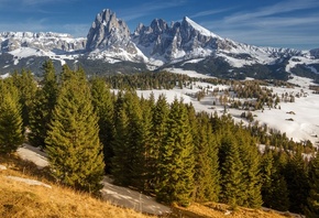 , , , South Tyrol, Dolomites, Langkofel, , ,  ...