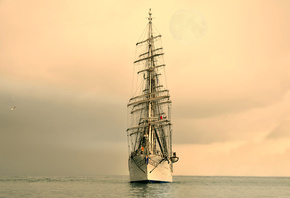 ����, ����, ��������