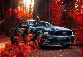 Ford, Mustang, �����