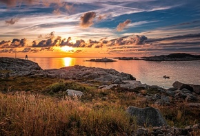 �����, ���, �������, ��������, ���������