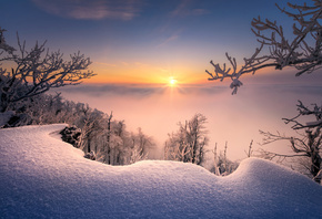 ����, ��������, �������, ����, �������, �����, �������