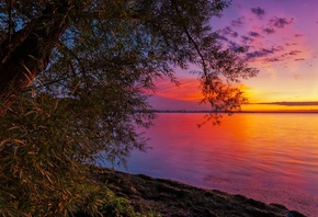 Tenney Park Madison, �������, �����