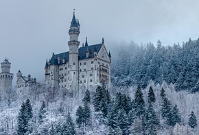 замок, лес, снег, зима, архитектура