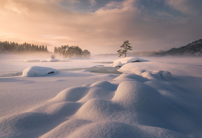 ����, ������, ���, �����, ���, ����, �������, �������, �����