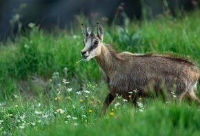 ����, �����, ��������