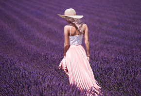 ����, �������, �����, �������