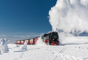 �����, ����, ����