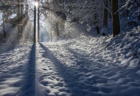 ���, �������, �������