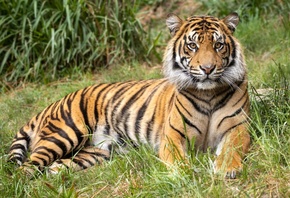 ����, �����, �����, �����, ������, ��������