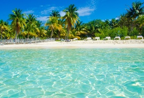 �������, �����, ����