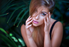 �������, �����, ������, �����